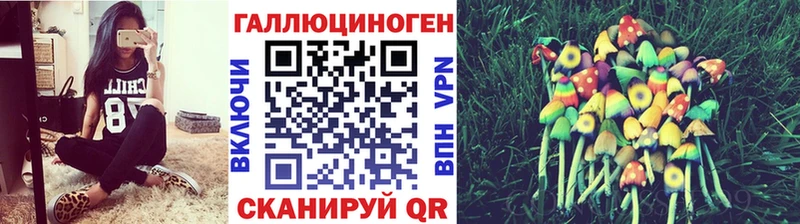 Галлюциногенные грибы MAGIC MUSHROOMS  купить наркоту  Добрянка 